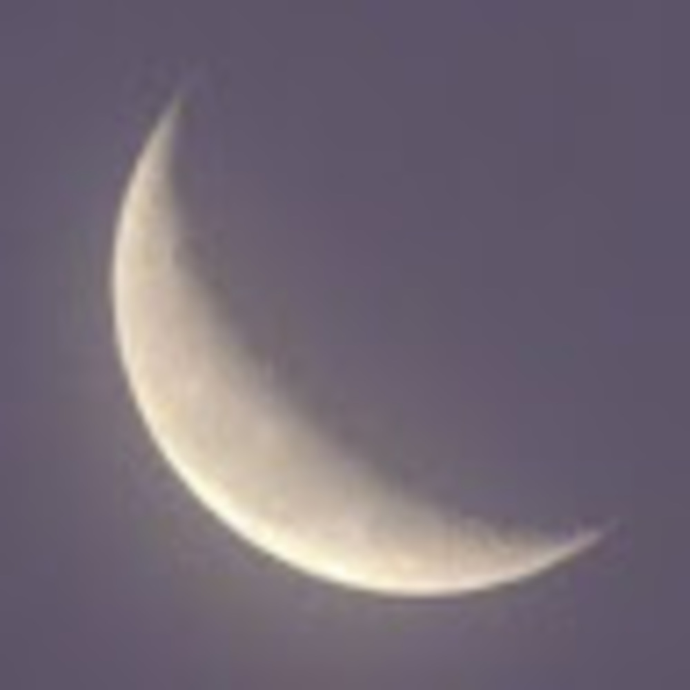 Meet your Posher, Violet